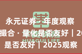 永元证券 · 年度观察 · 技术与撮合 · 量化是否友好｜2025观察